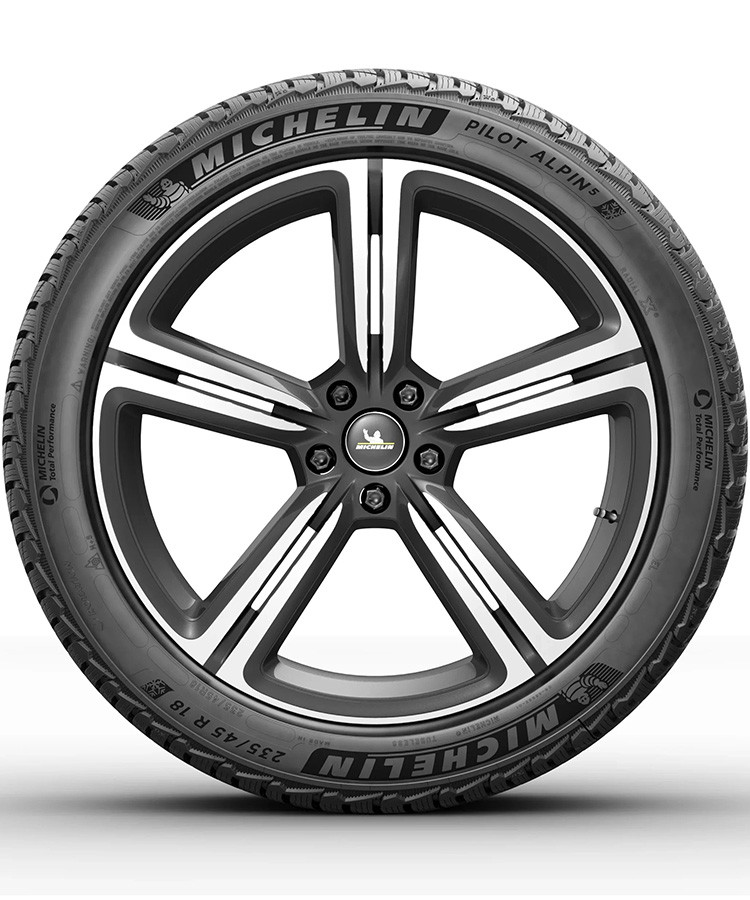 Michelin Pilot Alpin 5 255/35 R20 97W (XL) заказать