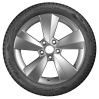 Ikon (Nokian Tyres) Ikon Character Ice 8 205/55 R17 95T (XL) заказать